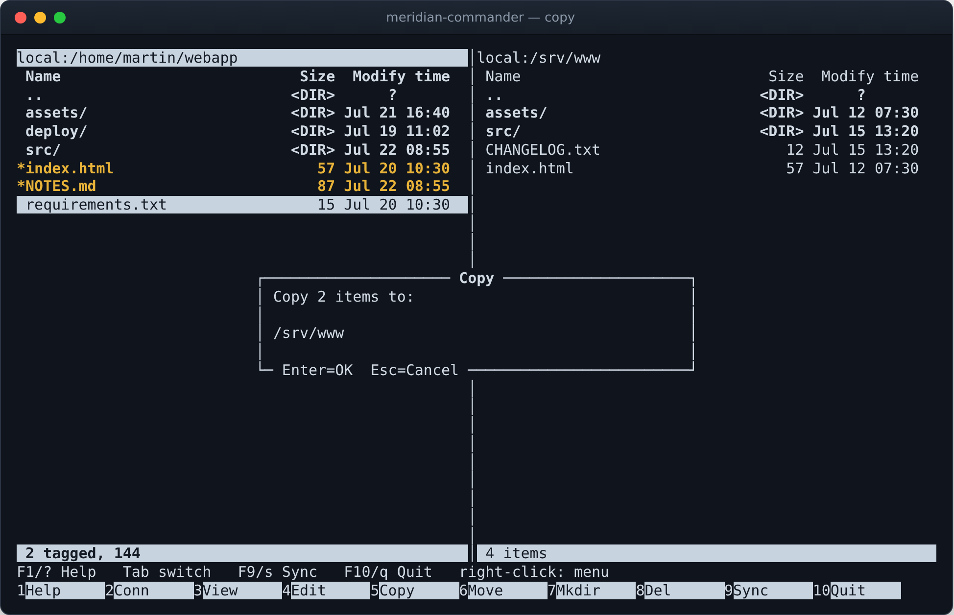 Copy dialog confirming two tagged items to /srv/www