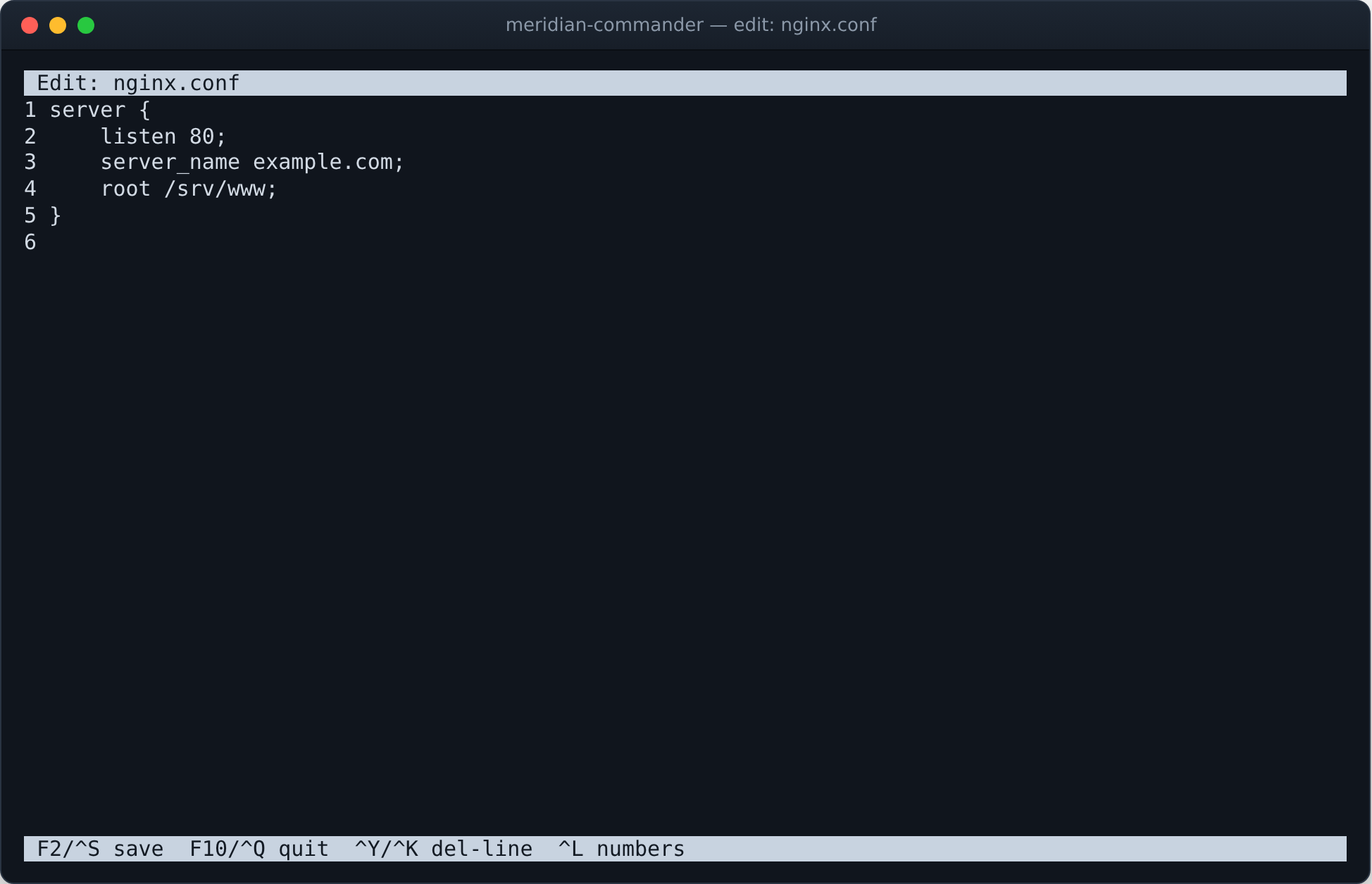 The built-in editor open on nginx.conf with line numbers